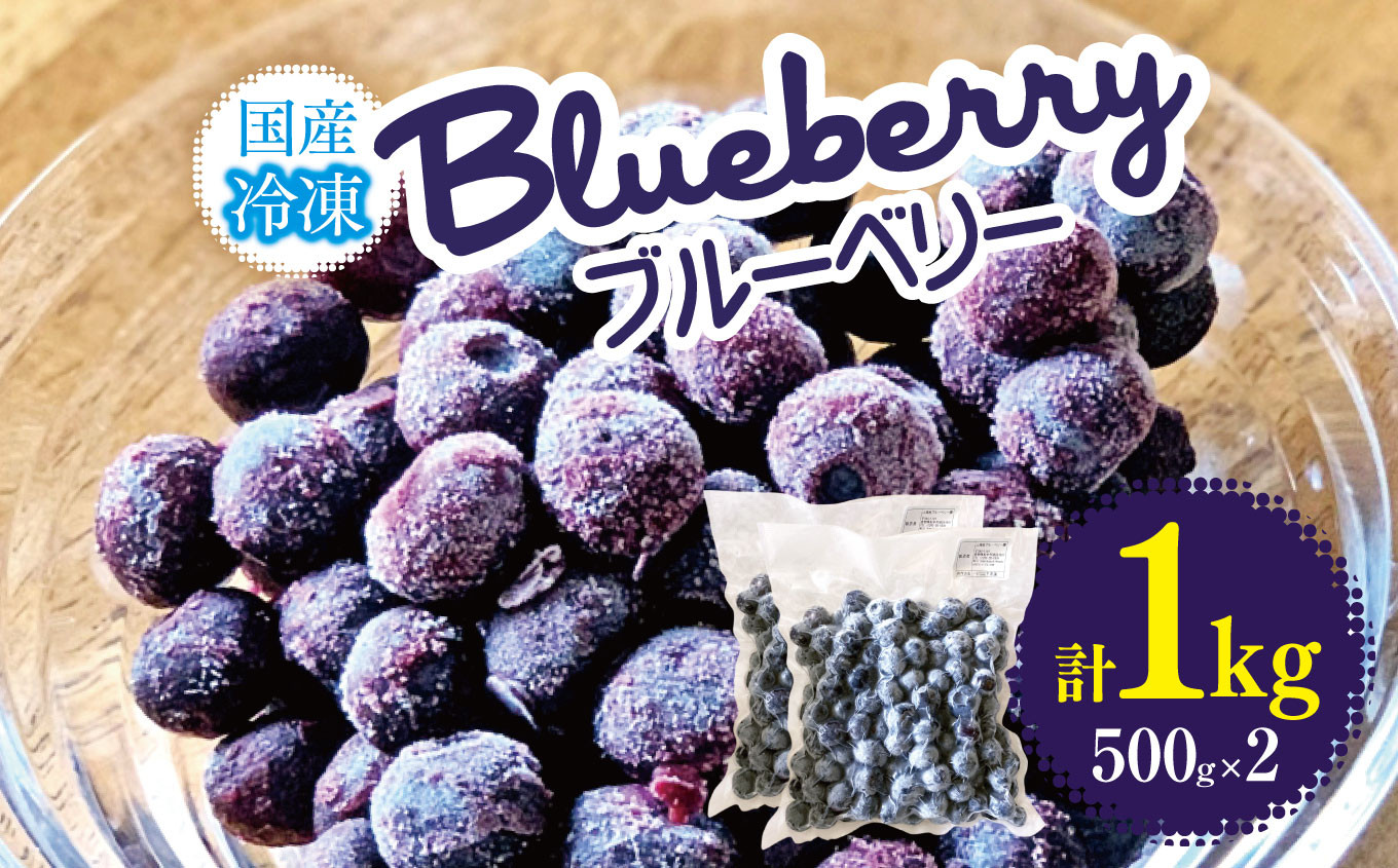 
            冷凍ブルーベリー　1㎏│信州 贈答用 ブルーベリー 冷凍 真空パック 新鮮 大きい 甘い 美味しい 特別 松本 ふるさと納税 上高地
          