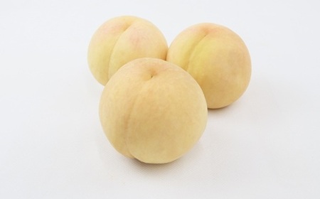 岡山の白桃 晩生種 約2kg（6～8玉）
