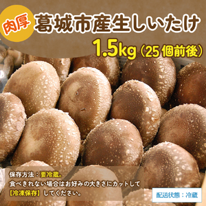 葛城市産生しいたけ（1.5kg） 25個前後 椎茸 シイタケ 生 国産 セット 1.5kg 新鮮 菌床 スライス 奈良県 葛城市【kobo005】