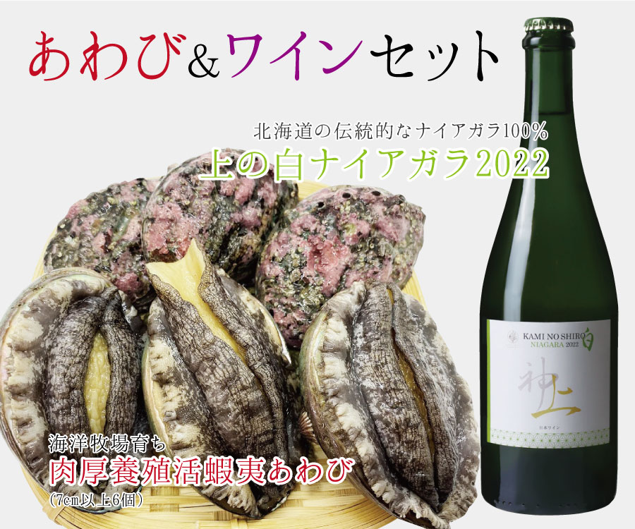 【ふるさと納税】北海道上ノ国町 海洋牧場育ち養殖活蝦夷あわび（7cm以上×6個）＆上ノ国ワイナリー上ノ白ナイアガラ2022（750ml×1本）　スパークリング　北海道ワイン　WINE　家飲み　お祝い　おうちディナー　お酒　パーティー　高級　アワビ　鮑