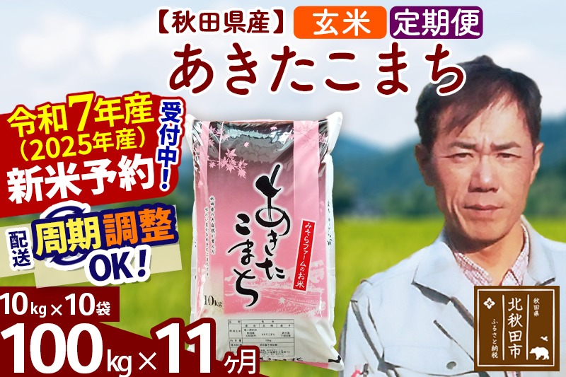 ※令和7年産 新米予約※《定期便11ヶ月》秋田県産 あきたこまち 100kg【玄米】(10kg袋) 2025年産 お届け周期調整可能 隔月に調整OK お米 みそらファーム|msrf-21711