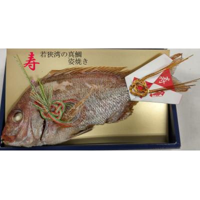 ふるさと納税 小浜市 御食國の若狭湾で釣り挙げられた天然の真鯛をふっくらと姿のまま焼き上げた祝い鯛 |  | 02