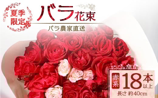【先行予約・夏季限定 薔薇】ばら農家直送！バラ花束18本以上お届け(赤系) 【ギフト対応可】TB-1│ローズ 新鮮 花 フラワー 花束 ばら 薔薇 バラ 誕生日 記念日 結婚祝い ギフト プレゼント お祝い 贈り物 贈答 鹿児島県 南大隅町 富田バラ園