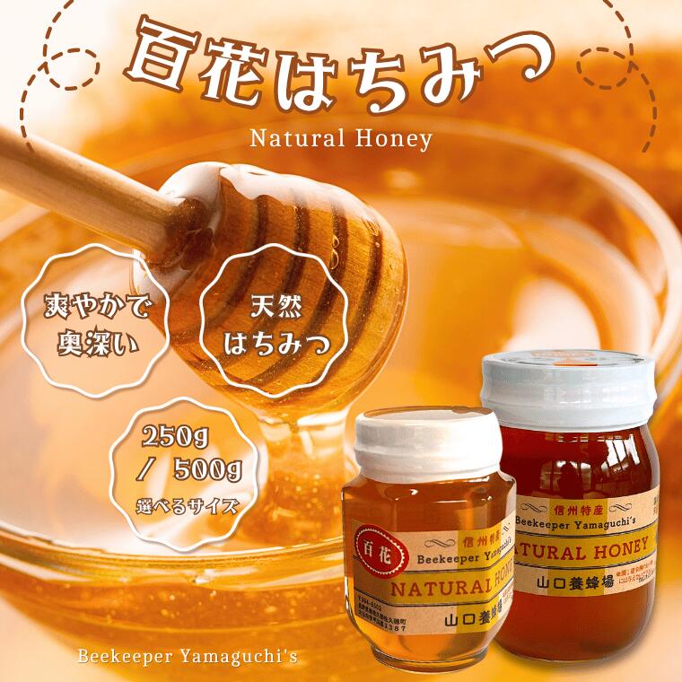【ふるさと納税】山口養蜂所　信州特産！！「国産純粋　天然 百花はちみつ」 [YY-102]