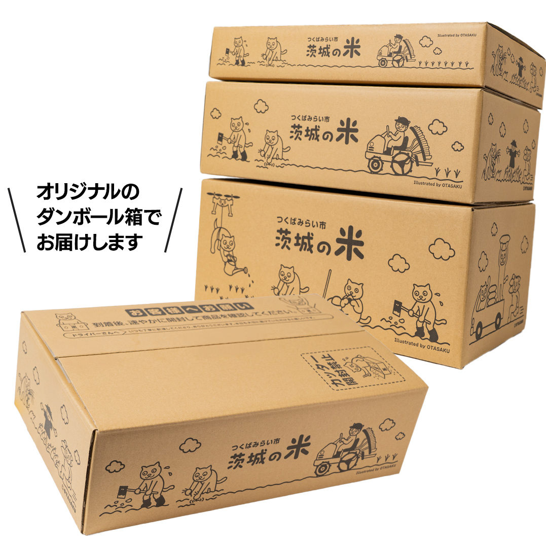 【5月下期出荷】 コシヒカリ 10kg 令和7年産精米 【 数量限定 】茨城県つくばみらい市産 米 コメ 単一米 22000 茨城県産 国産 発送 コスパ こしひかり [CL304-NT]