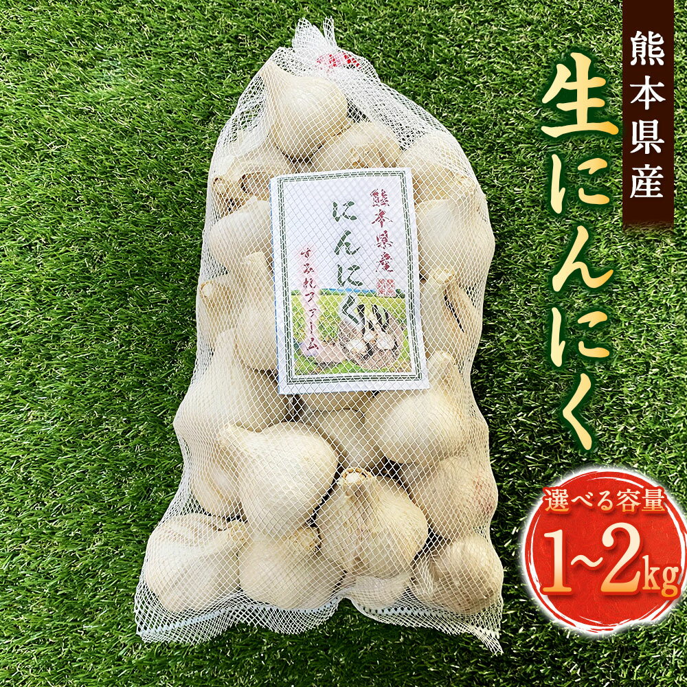 【ふるさと納税】＜選べる内容量＞熊本県産 生にんにく 1kg 2kg ニンニク 野菜 肉料理 炒め物 国産 九州 熊本県 送料無料 【2025年11月下旬発送開始】