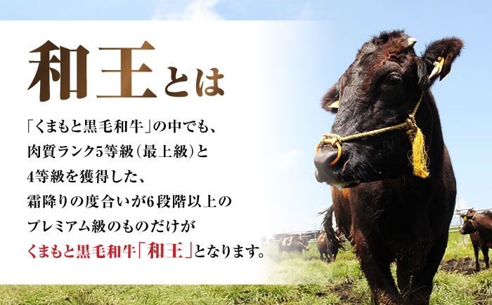 くまもと黒毛和牛 ｢和王｣ サーロインステーキ ・ ｢和王｣ ミスジステーキ 食べ比べセット 計約350g (各1枚) / 牛肉 和王 黒毛和牛 サーロイン ミスジ 熊本県 菊陽町 【菊池地域農業協同