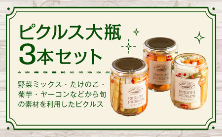 ピクルス 大瓶 3本セット 【メロンドーム】 約260g×3本 ピクルス 野菜 酢漬け 漬物 おつまみ 旬の野菜 《30日以内に出荷予定(土日祝除く)》