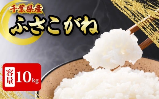 千葉県産 ふさこがね 10kg 米 こめ ごはん 白米 お米 ギフト 炊き込みご飯 混ぜご飯 朝食 昼食 夕食 おにぎり おじや おかゆ 贈物 日用品 食品 備蓄 防災 お取り寄せ グルメ 美味しい ふるさと納税 ふるさと納税米 送料無料 千葉県 銚子市 根本商店