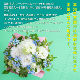 HNS001　《先行予約》芸西村のお花を使ったアレンジメント（小）_イメージ3