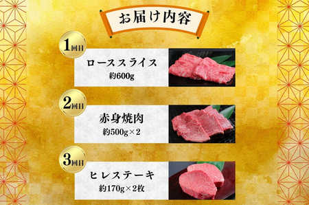 【ふるなび限定】【定期便】飛騨牛いろいろ定期便 3ヶ月Bセット ※離島への配送不可 FN-Limited-SP