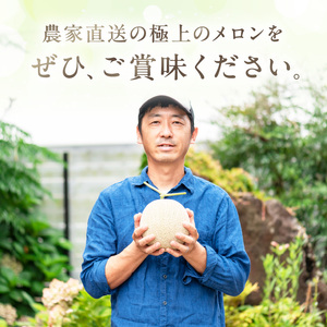 農家直送!和歌山県御坊市産アールスメロン2玉≪先行予約 2027年7月頃より順次発送分≫【0262-5】