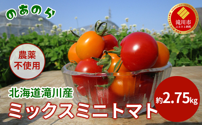 【2026年産先行受付】【栽培期間中 農薬不使用 】 北海道 滝川市 産 ミックス ミニトマト 約2.75kg （2026年7月中旬発送） トマト 野菜 やさい みにとまと