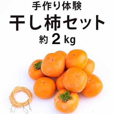 ふるさと納税 橋本市 柳フルーツ園の干し柿セット 約2kg
