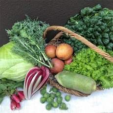 【季節の野菜に出会える】十和田の野菜セット