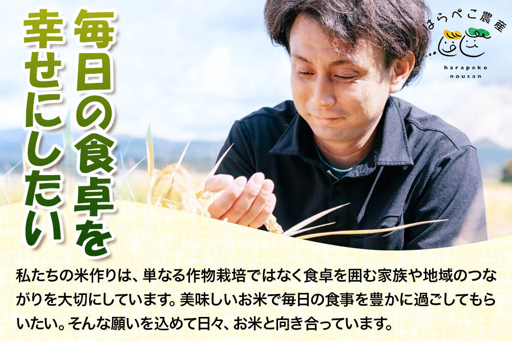 《新米受付》令和8年産【無洗米】ひとめぼれ 10kg [新米予約 ひとめぼれ 米 お米 こめ 無洗米 ブランド米 食卓 おにぎり 秋田県産 秋田]