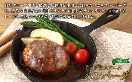 ハンバーグ セット 冷蔵(200g × 6パック 計 1,200g) ギフト レンジ 湯煎 温めるだけ 簡単調理 小分け 個包装 総菜 簡単 おかず レトルト 人気 お取り寄せ 九州 宮崎県 えびの市