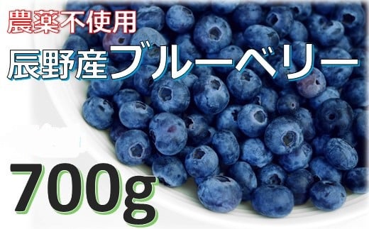 240 農薬不使用！！中村さんの国産ブルーベリー 700ℊ 数量限定！先行予約！！