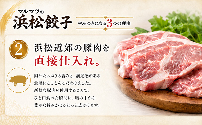 浜松餃子　120粒（定番の味　30粒×4袋）　総重量2.4kg！ 