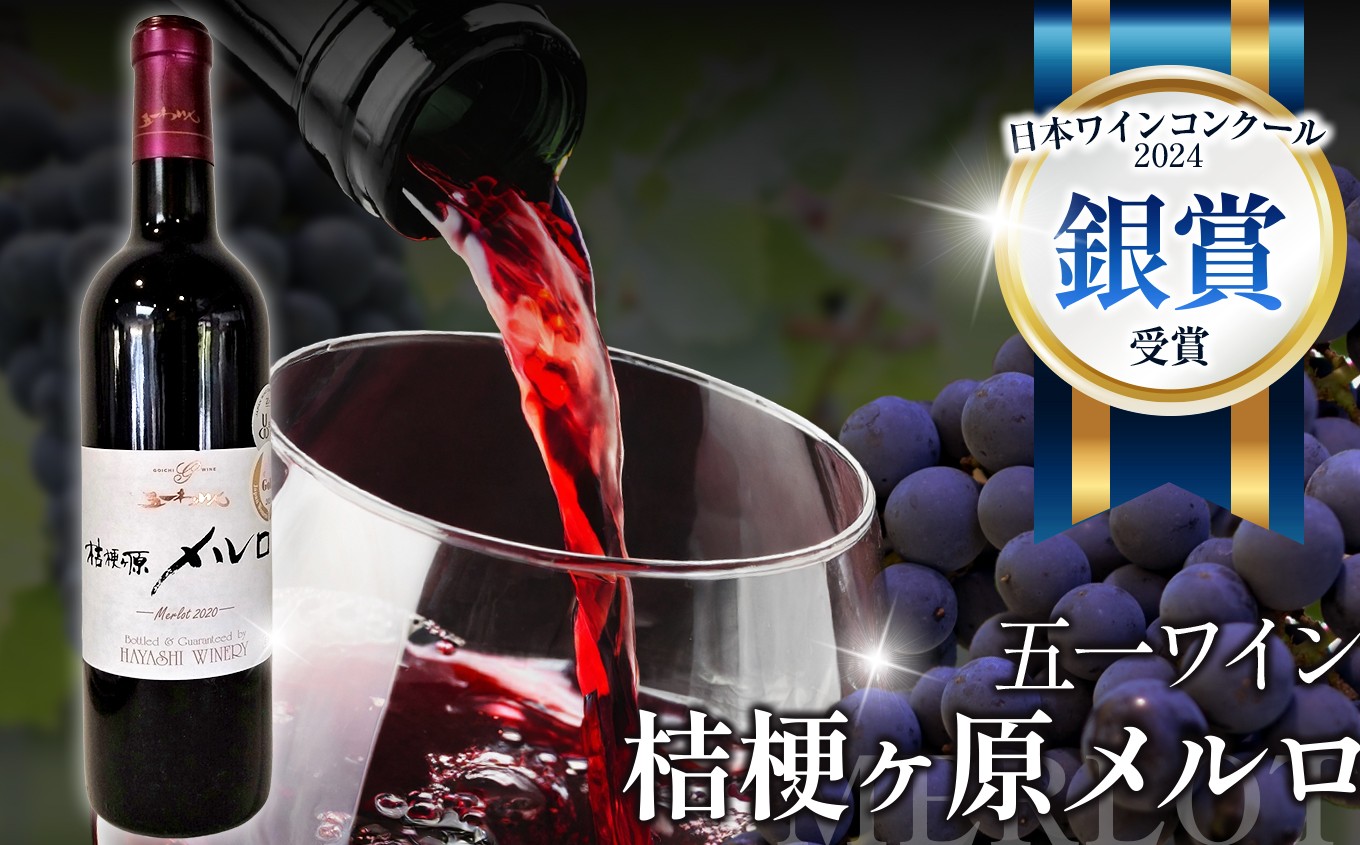 
            五一わいん 桔梗ヶ原メルロ | ワイン 五一わいん 林農園 赤 メルロ ぶどう 酒 お酒 日本ワインコンクール2024 受賞ワイン 銀賞 長野県 塩尻市
          