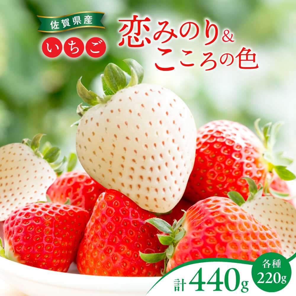【ふるさと納税】【先行予約】恋みのり・こころの色 220g×2パック（各1パック） / 赤白いちご イチゴ 苺 果物 フルーツ / 佐賀県 / 鐘ヶ江農園[41ASBK007]