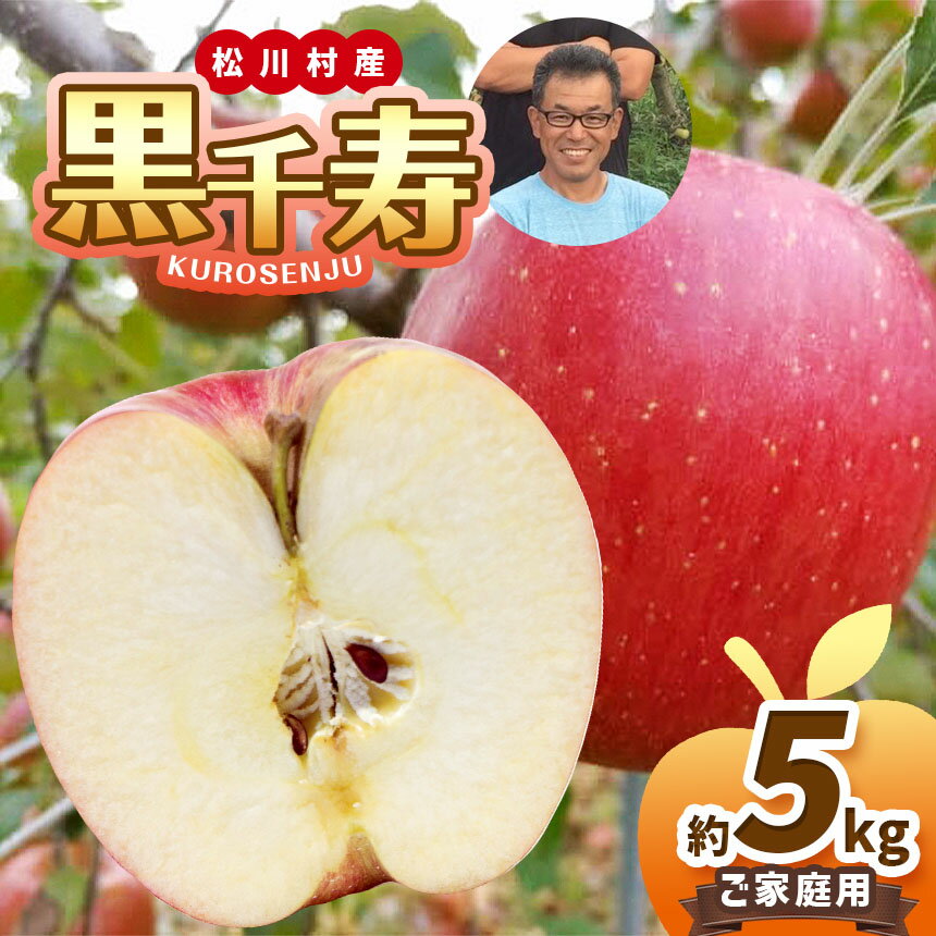 【ふるさと納税】*【2025年先行予約】 北條農園 家庭用 黒千寿 約5kg | 果物類 林檎 りんご リンゴ 黒千寿 大きい 甘い 日持ち 長野県 松川村 まつかわ 長野 信州