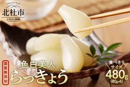 食べきりサイズ 色白美人らっきょう 国産無添加 80g×6袋　ラッキョウ 食べきりサイズ 480g おつまみ ご飯のおとも お酒のお供 野菜 旬 漬物 つけもの お漬物 常温保存 山梨県 北杜市