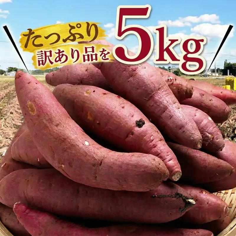 紅はるか 5㎏ 【SDK001】紅はるか