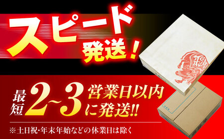 飛騨牛 ロースステーキ 400g (200g×2枚) 瑞浪市 / 養老ミート 冷凍 赤身 和牛 ギフト[AZDB007]