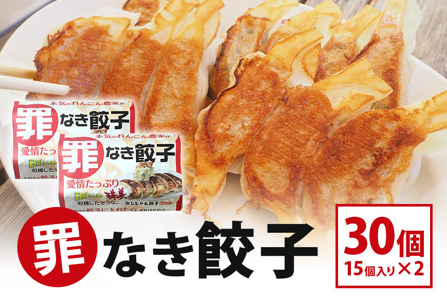 
            【最高級Bigれんこん珠美使用】冷凍罪なき餃子（20g×15個入）2パックセット 餃子 れんこん ギョウザ レンコン ぎょうざ 蓮根 冷凍 パック セット 保存 おかず 惣菜 国産 77-E
          
