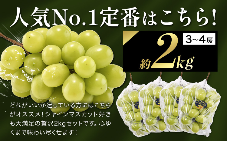 【先行予約】 厳選 シャインマスカット 約2kg(3～5房)《2025年9月上旬～11月中旬頃出荷(土日祝除く》シャインマスカット 岡山 マスカット シャインマスカット シャインマスカット シャインマ