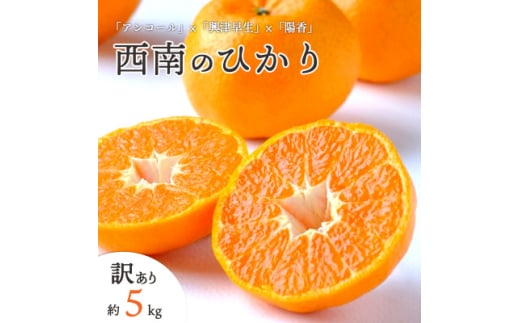 ＜2025年12月以降発送＞愛媛県八幡浜市産 西南のひかり 5kg＜訳あり＞＜C25-192＞【1610089】