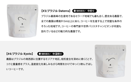コーヒー 豆 焙煎士 おすすめ おまかせセット 3ヶ月 定期便 各月200g | コーヒー
