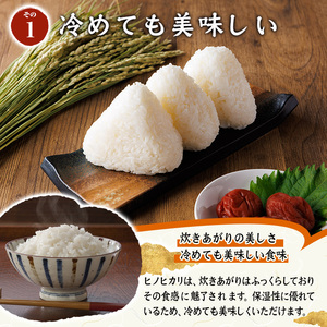 ヒノヒカリ 白米 (計5kg) お米 ごはん ご飯 ひのひかり 数量限定 【117800101】【ジョイライス大分】