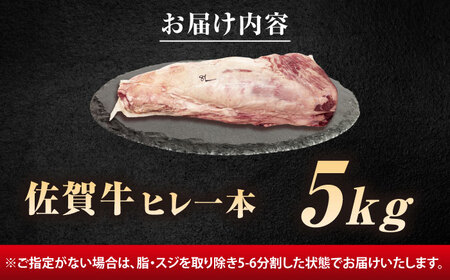 厳選佐賀牛ヒレ1本5kg / 有限会社片岡精肉店 [41AEAC013]