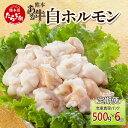 【ふるさと納税】【定期便6回】熊本あか牛 白ホルモン 計3Kg (250g×2)×6回 冷凍真空パック【 熊本 熊本県産 あか牛 冷凍 真空 もつ鍋 ホルモン 焼き肉 】 041-0140