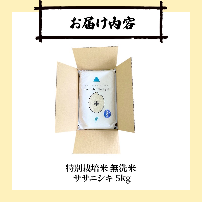 【令和8年産 新米予約】【無洗米】秋田県産特別栽培米ササニシキ5kg×1袋 新米 お米 おこめ 精米特別栽培米