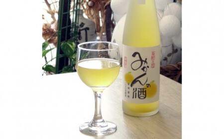 有田みかんの酒(ワイン)2本セット(B417-1)
