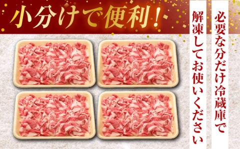 【3回定期便】熊本県産 黒毛和牛 切り落とし 計約1kg (約250g×4P)【有限会社九州食肉産業】 小分け 国産 A4 A5 山鹿 [ZDQ032]
