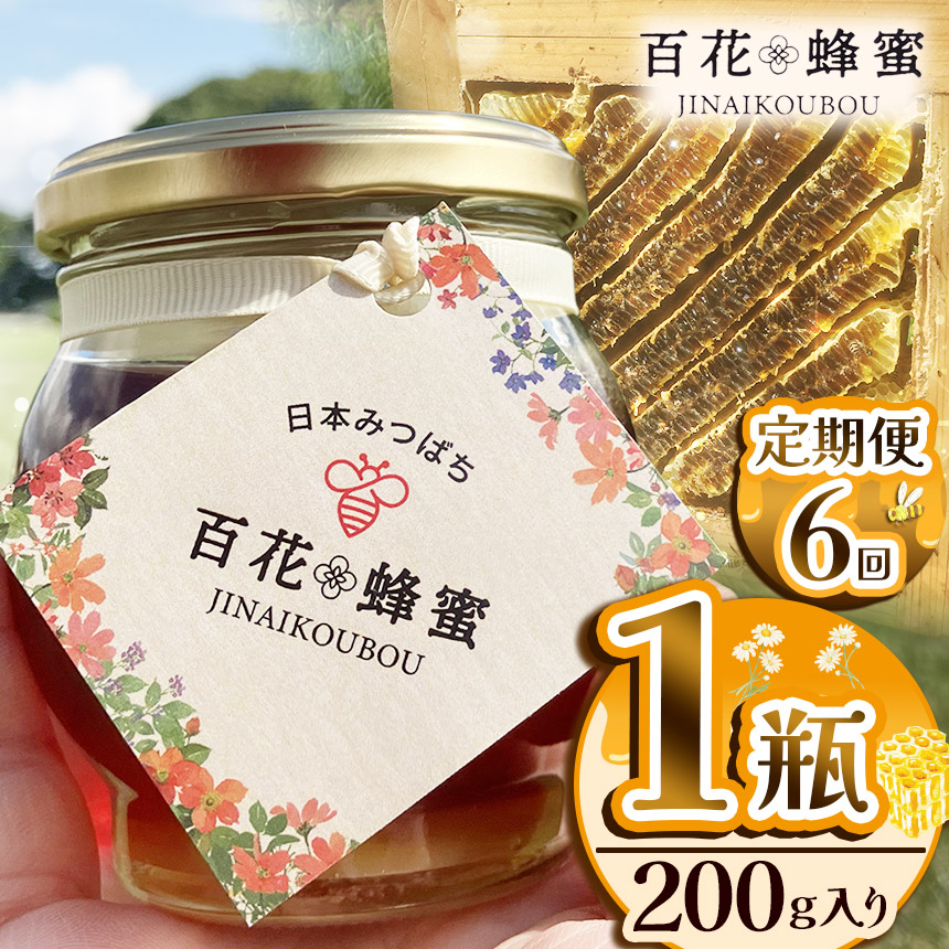 【定期便6回】日本ミツバチの百花蜂蜜（1瓶）