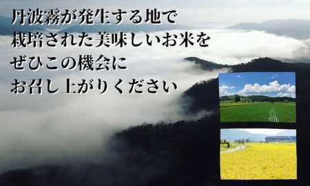 京都丹波産 こしひかり 5kg ※米食味鑑定士厳選 ※精米したてをお届け【京都伏見のお米問屋が精米】《米 令和5年産》※沖縄本島・離島への配送不可 大人気お米 人気お米 お米 国産お米 お米 京都府産