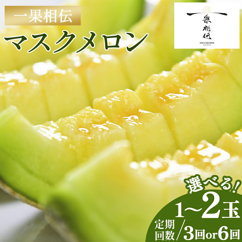 【ふるさと納税】【期間限定】一果相伝 マスクメロン 1玉入り/2玉入り 3回/6回 - 選べる 個数 定期便 送料無料 めろん 青肉 果物 くだもの フルーツ 贈答用 贈答品 贈り物 ギフト お礼 御礼 感謝 お祝い 御祝い 産地直送 新鮮 篤農 高知県 香南市【常温】