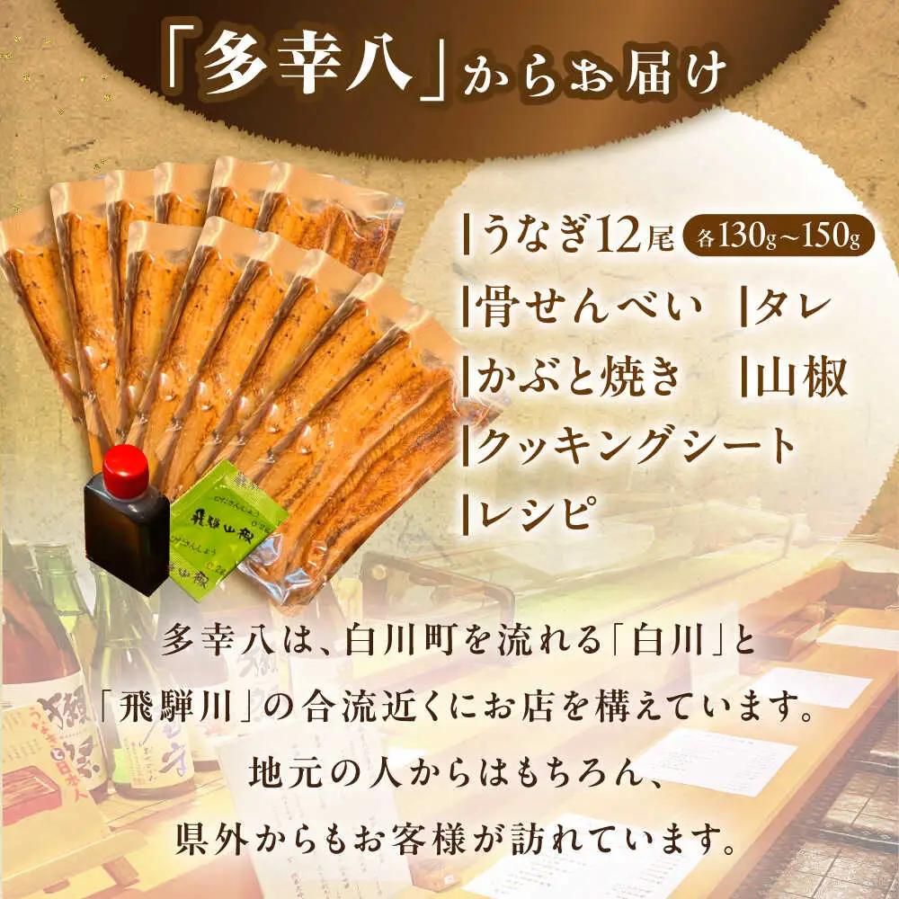 うなぎの蒲焼 12尾 / 多幸八[AWBL005]うなぎ