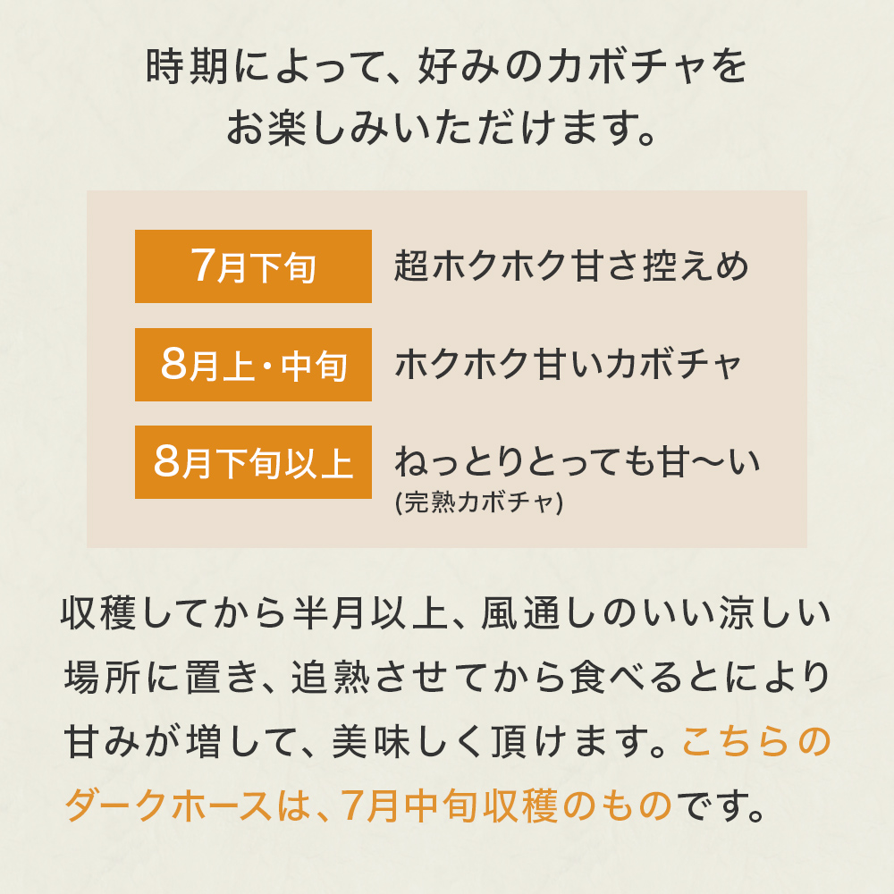 石巻伝承野菜 かぼちゃ ダークホース 5キロ 3～4玉 カボチャ