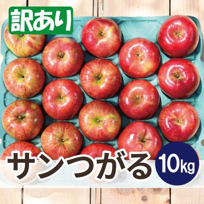 
            ＜25年8月より順次発送＞平均糖度12度以上! サンつがる 約10kg 訳あり  クール便【1611777】
          