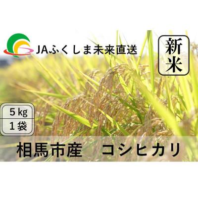 ふるさと納税 相馬市 令和7年度産【新米】JAふくしま未来　福島県産　コシヒカリ5kg