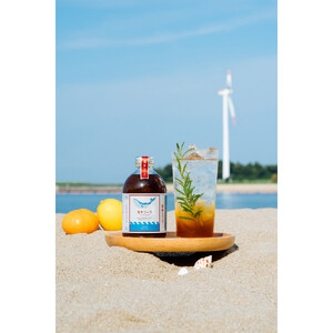 【テレビで紹介】愛知 知多 クラフトコーラ 240ml 5本 コーラ シロップ 飲料 ドリンク 炭酸割り ソーダ割り ミルク割り お酒 アイス アレンジ可能 相性抜群 愛知県産 レモン みかん 人気 おすすめ 大府市