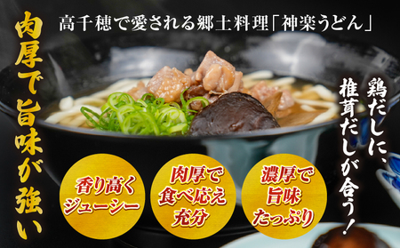 乾燥しいたけ 40g×6袋 240g　椎茸 小分け パック 小袋 個包装 個別包装 出汁取り 使い切り 使い勝手 普段使い お吸い物 きのこ キノコ類 干ししいたけ 乾しいたけ 原木栽培 乾燥しいたけ
