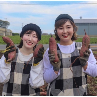 【先行受付】11月下旬より発送!茨城県 ひたちなか産 さつまいも 紅はるか 箱込2kg【訳あり】【配送不可地域：離島・沖縄県】
