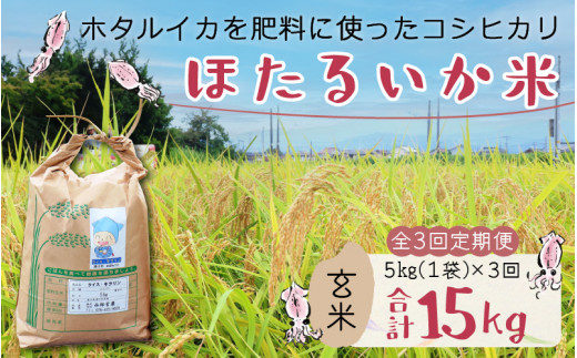 【訳あり】ほたるいか米（玄米５kg）×3回 計15kg【3ヶ月定期便】 【訳あり 米 コシヒカリ こしひかり ほたるいか ホタルイカ お米 ブランド米 富山 滑川】